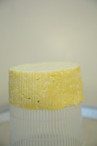 _N0A2250